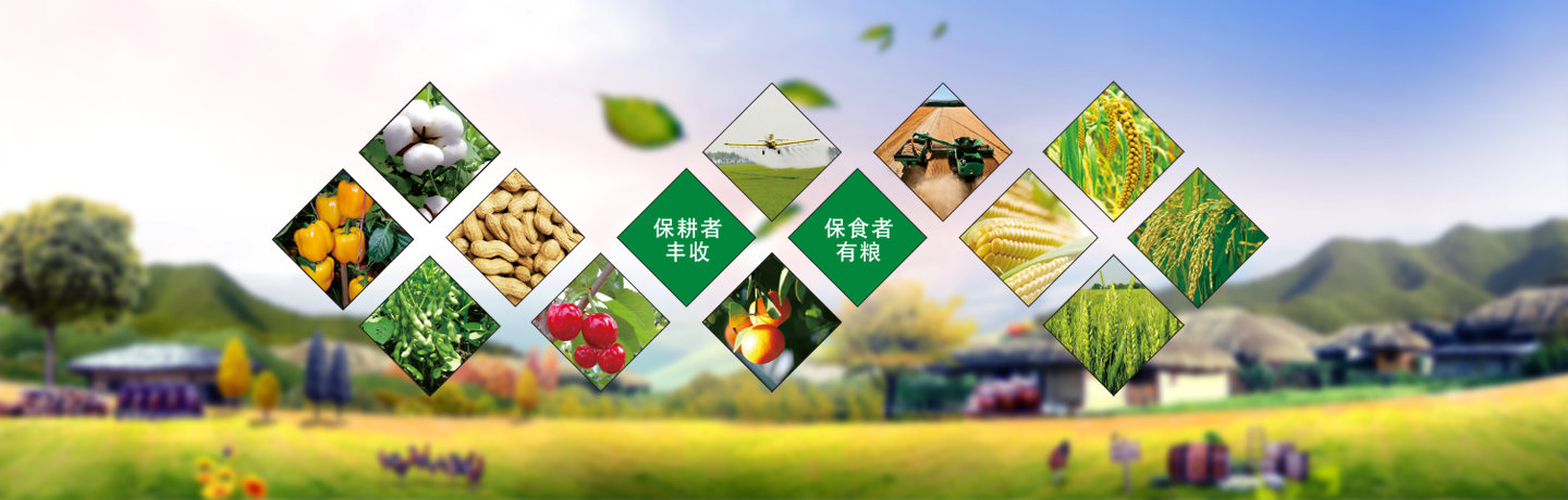 天津高效低毒除草劑、天津除草劑廠(chǎng)家