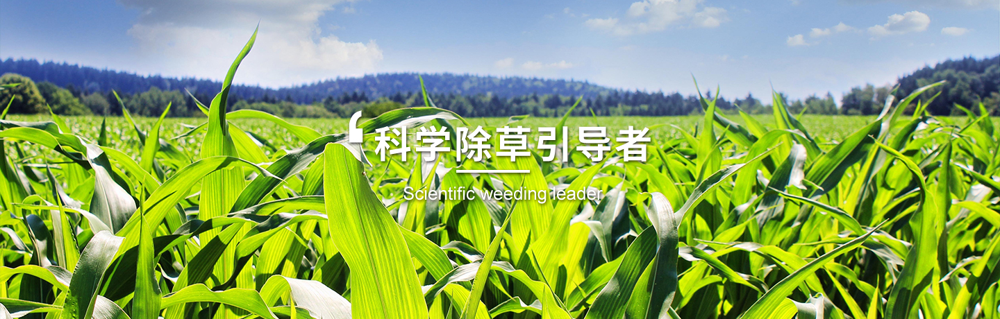 天津經(jīng)作類(lèi)除草劑訂購(gòu)、天津高粱田除草劑