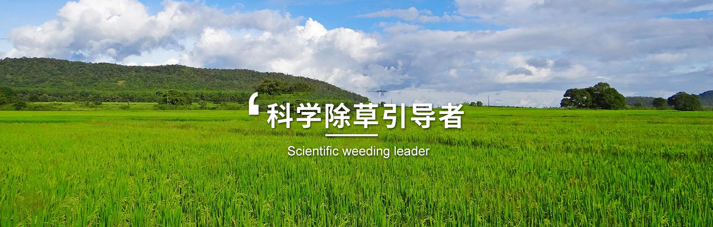 天津高粱田除草劑、河北玉米田除草劑